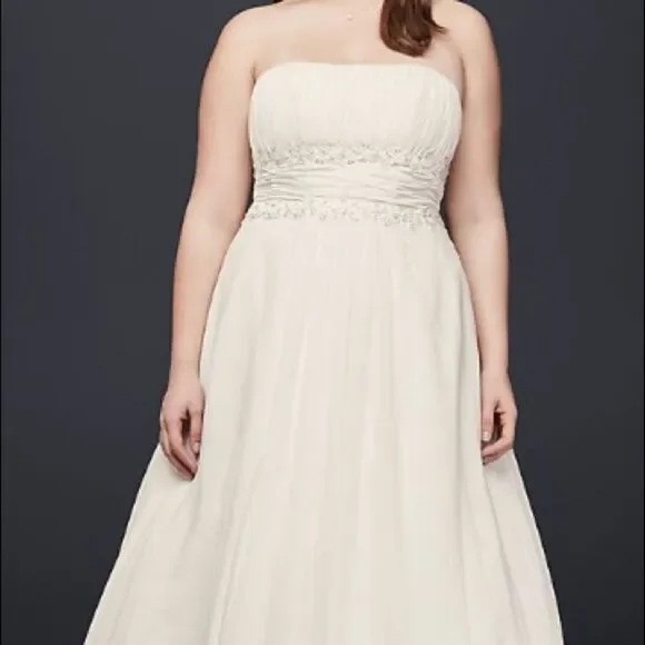 David’s Bridal Chiffon Beaded Empire Plus Size
Wedding Dress White size: 16W - Picture 4 of 14